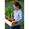Vive les légumes !