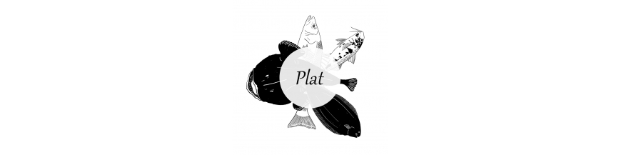 Les plats